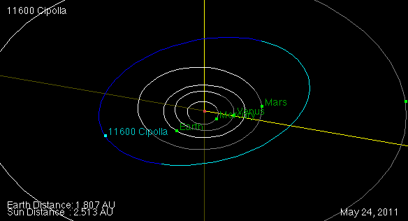 Asteroid 11600 Cipolla